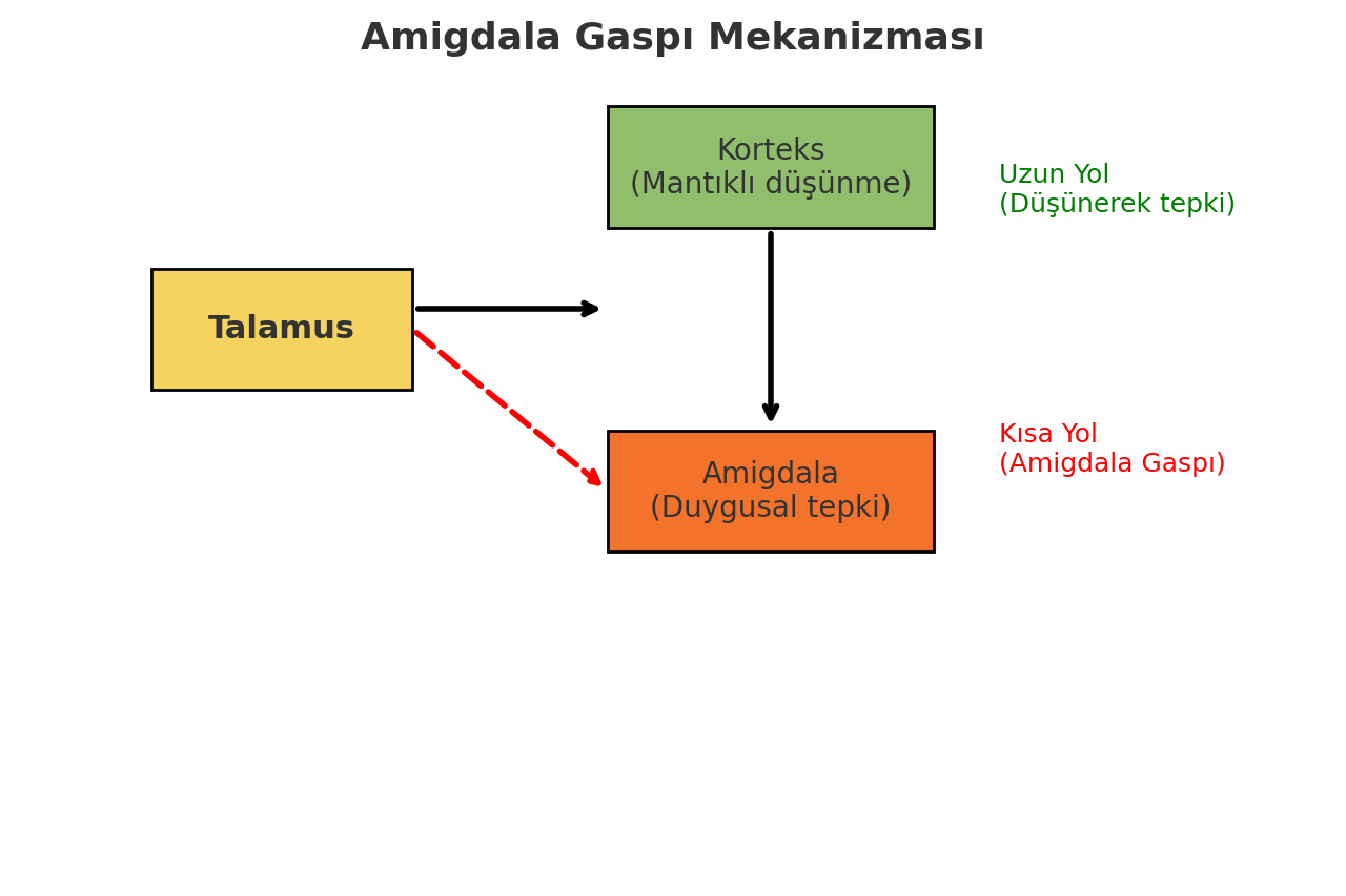 amigdala gaspının çalışma sistemini gösteren diagram